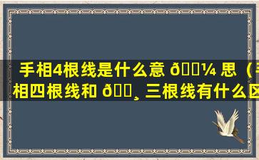 手相4根线是什么意 🐼 思（手相四根线和 🌸 三根线有什么区别）
